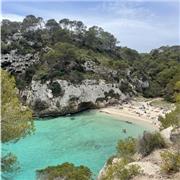 Profesora de Ciencias para primaria y la ESO